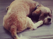 Para tener éxito necesitas sistema