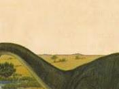 When does animal become extinct?