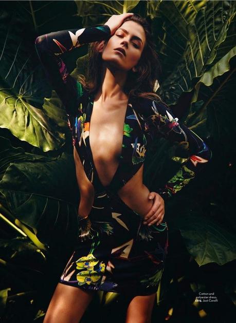 H E L L O S P R I N G