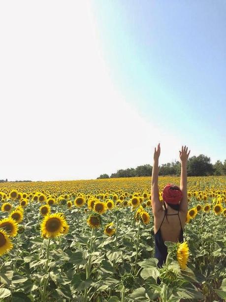 H E L L O S P R I N G