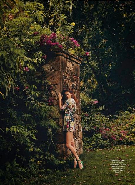 H E L L O S P R I N G