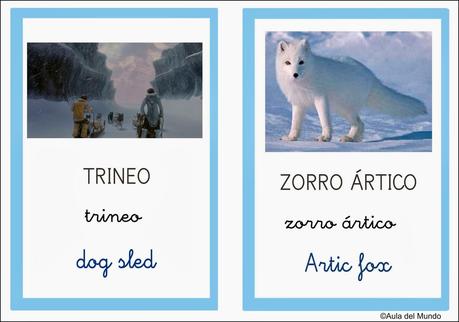 Artic vocabulary