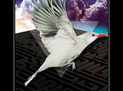 Mirlo Blanco: nuevo disco Iván Nieto