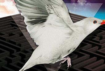 Mirlo Blanco El Nuevo Disco De Ivan Nieto Paperblog mirlo blanco el nuevo disco de ivan