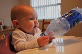 los bebés se alimentan y toman agua