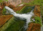 Concurso Fotografía