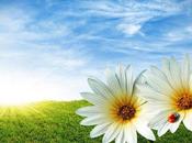 primavera…¿qué será espera?