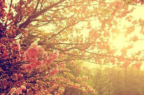 INSPIRACIÓN: Bienvenida Primavera!