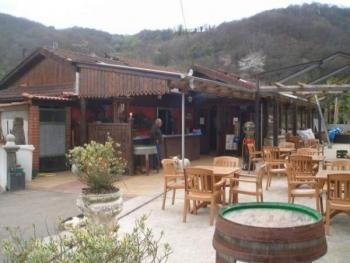 Llagar Panizales. Un rincón gastronómico al lado de Mieres