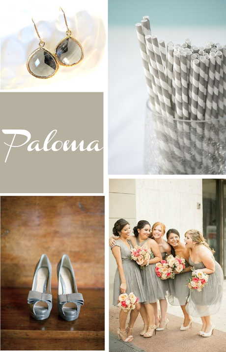Inspiration Board: Paloma Inspiration Board: Paloma