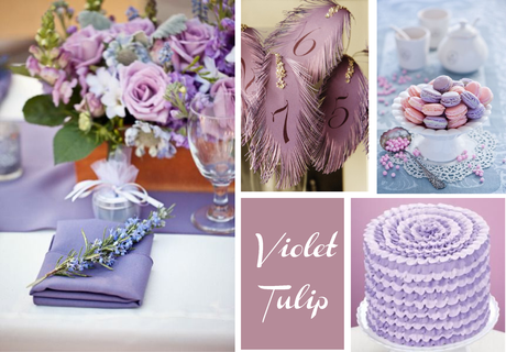 Inspiration Board: Violet Tulip Inspiration Board: Violet Tulip