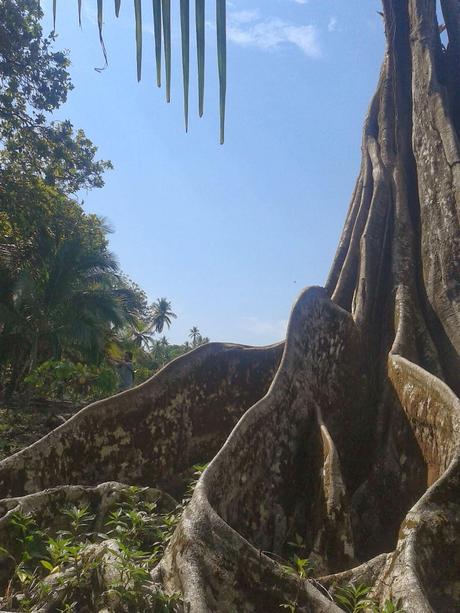 Río Celeste, Costa Rica