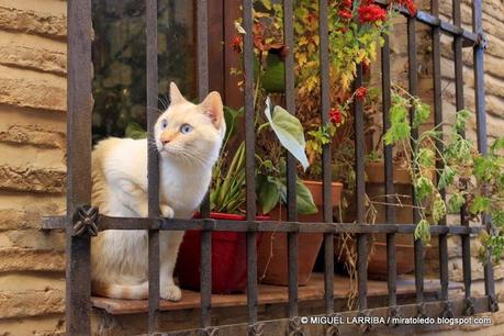 Muros que juegan al escondite