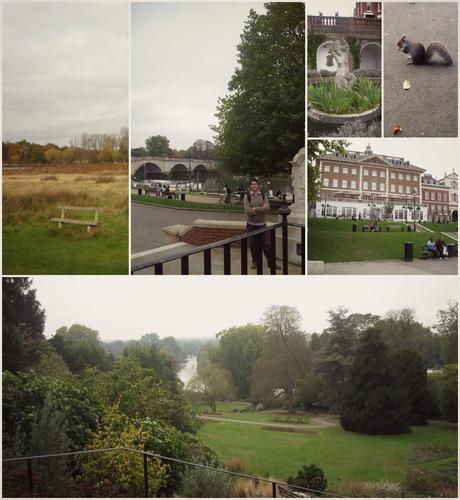 Calabacín y pollo al curry rojo #ramonesenlosfogones