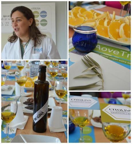 Viaje a los primeros Virgenes Extra de la @DOSierraMágina #aovetrip Viaje a los primeros Virgenes Extra de la @DOSierraMágina #aovetrip