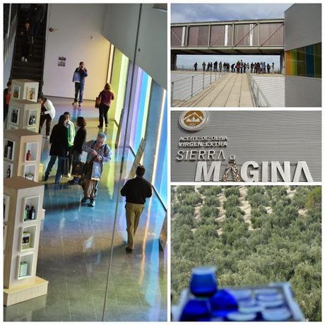 Viaje a los primeros Virgenes Extra de la @DOSierraMágina #aovetrip Viaje a los primeros Virgenes Extra de la @DOSierraMágina #aovetrip