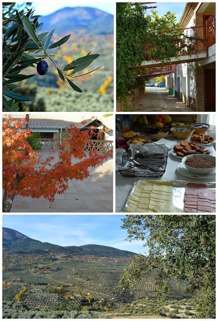 Viaje a los primeros Virgenes Extra de la @DOSierraMágina #aovetrip Viaje a los primeros Virgenes Extra de la @DOSierraMágina #aovetrip