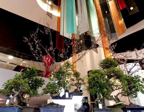 Visita nuestro showroom para conocer las novedades de A-cero Floral