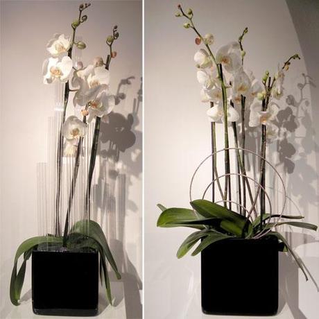 Visita nuestro showroom para conocer las novedades de A-cero Floral