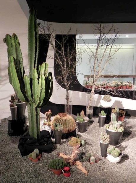 Visita nuestro showroom para conocer las novedades de A-cero Floral