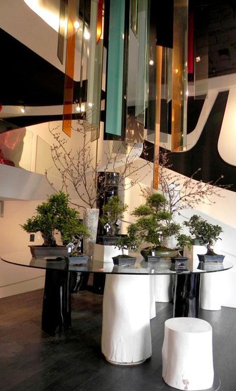 Visita nuestro showroom para conocer las novedades de A-cero Floral