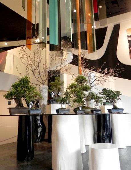 Visita nuestro showroom para conocer las novedades de A-cero Floral