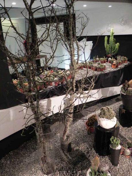 Visita nuestro showroom para conocer las novedades de A-cero Floral