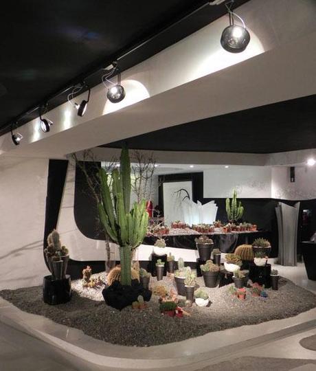 Visita nuestro showroom para conocer las novedades de A-cero Floral