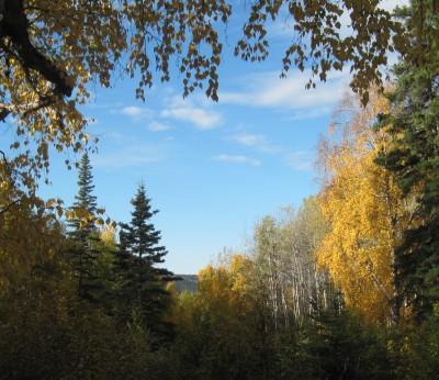 Descubriendo Fairbanks