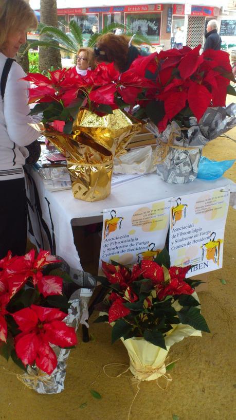 Mercadillo Solidario Día de las personas con discapacidad