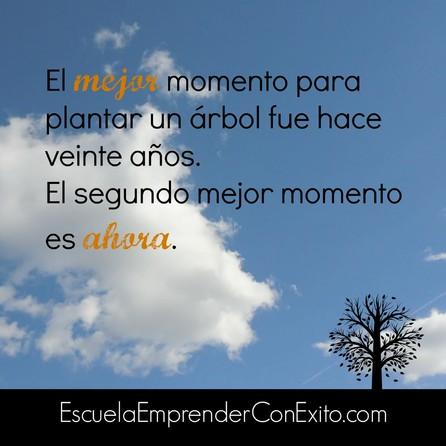 El mejor momento para plantar un árbol fue hace 20 años. El segundo mejor momento es ahora