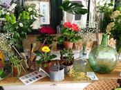tímida primavera