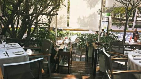 Mora blanca, Mèxico