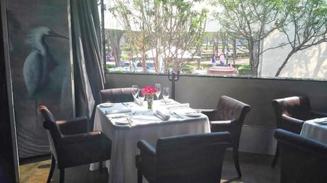 Mora blanca, Mèxico