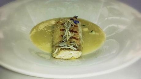 Mora blanca, Mèxico