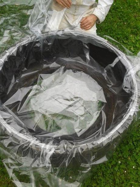 Estanque para peces utilizando una rueda de camión