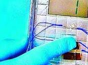 Energía eléctrica gracias virus nuestro cuerpo