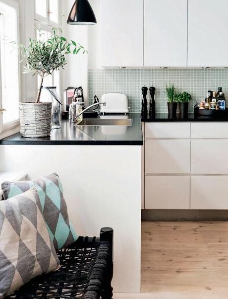 PRIMAVERA EN BLANCO Y NEGRO