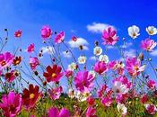 Tendencias para este verano 2014