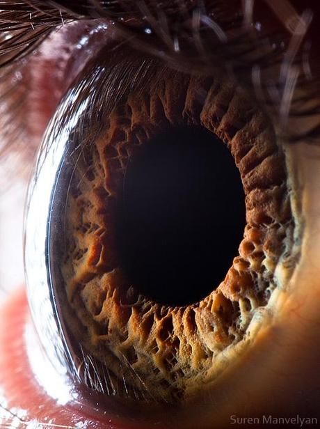 7 cosas que no sabías sobre los ojos y la vista