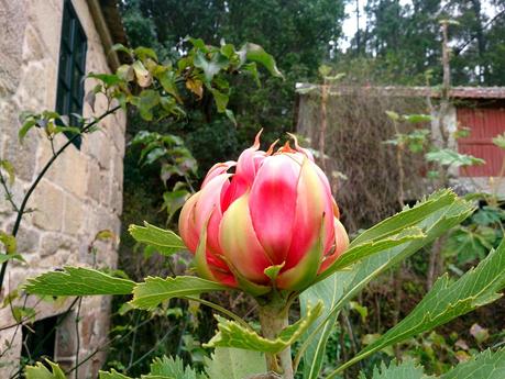 ¡Entre invierno y primavera, la sangre se nos altera!