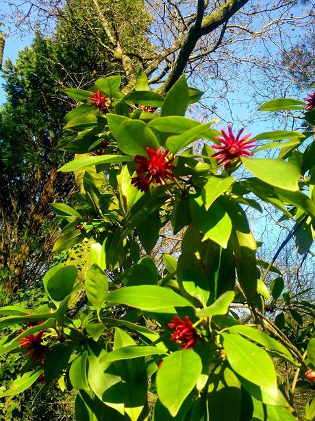 ¡Entre invierno y primavera, la sangre se nos altera!