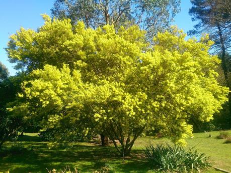 ¡Entre invierno y primavera, la sangre se nos altera!