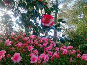 ¡Entre invierno primavera, sangre altera!