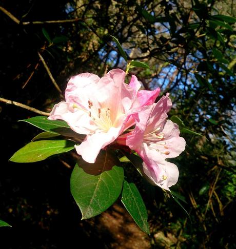 ¡Entre invierno y primavera, la sangre se nos altera!