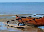 Gallinas polinesias pistas sobre antiguas migraciones