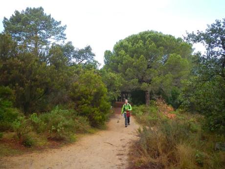 Creu y mirador del Montcabrer (El Maresme)