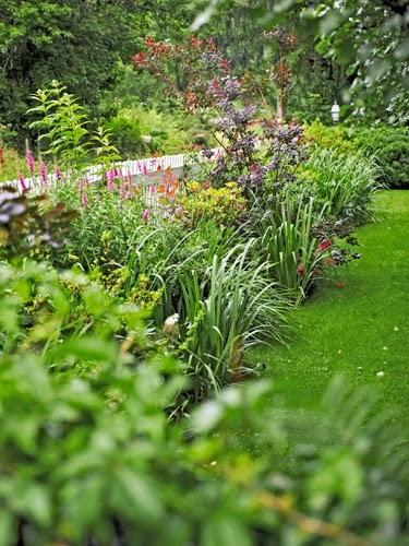 UNA CABAÑA EN EL ARBOL