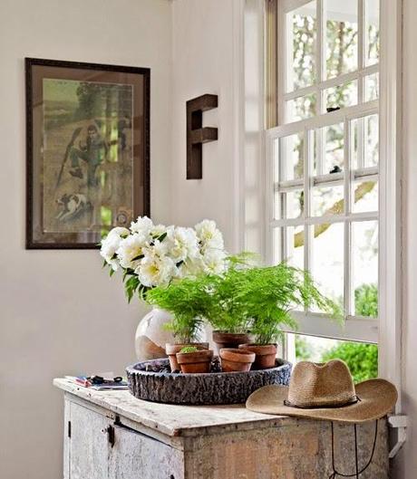 UNA CABAÑA EN EL ARBOL