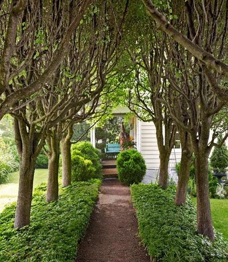 UNA CABAÑA EN EL ARBOL